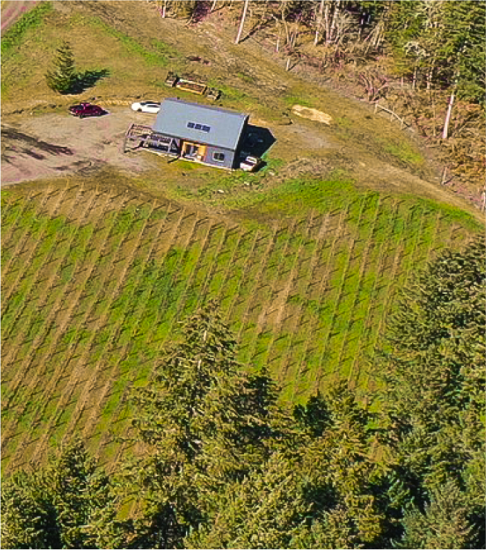The Story Behind Tystrya Estate